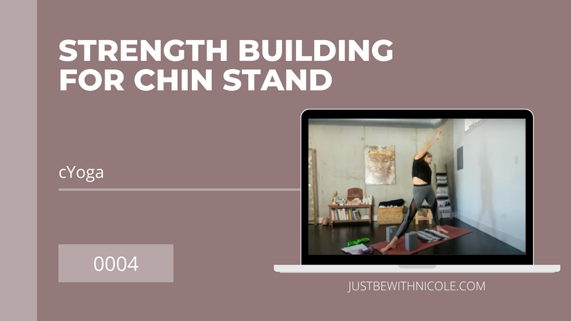 0004 - Strength Building for Chin Stand